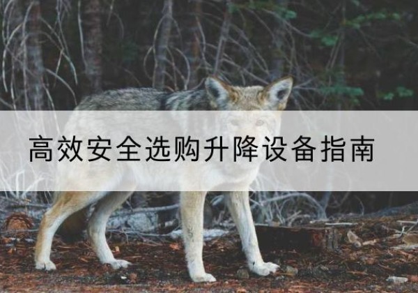 社旗升降货梯厂家推荐-*安全选购升降设备指南