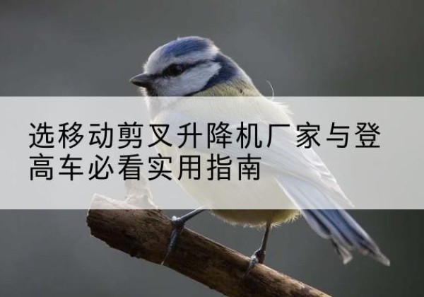 社旗电动升降机厂家-选移动剪叉升降机厂家与登高车必看实用指南