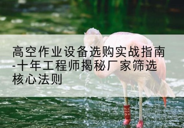 社旗剪叉式升降机厂家-高空作业设备选购实战指南-十年工程师揭秘厂家筛选核心法则